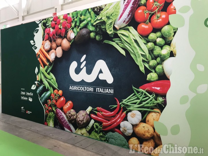 Fenestrelle: dal mercato contadino al Forte, passeggiata con pranzo tipico e gruppi folk