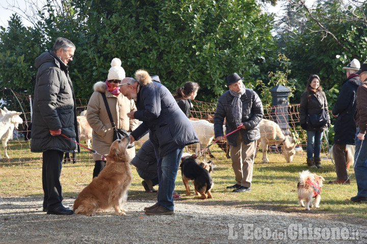 Pinerolo: domenica la Festa di Sant'Antonio e la benedizione degli animali al Colletto 