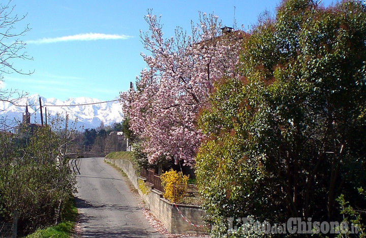 Running Hill a Pinerolo: sabato 10 la collina di S. Brigida si mette in movimento