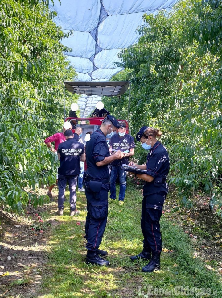 Saluzzo: i controlli dei Carabinieri per contrastare il lavoro irregolare nei frutteti