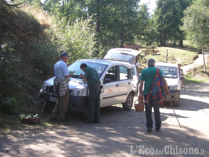 Val Germanasca: 176 cercatori di funghi controllati, 31 sanzionati