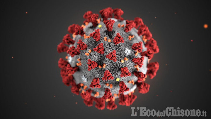 Coronavirus - Covid 19: situazione aggiornata sui casi