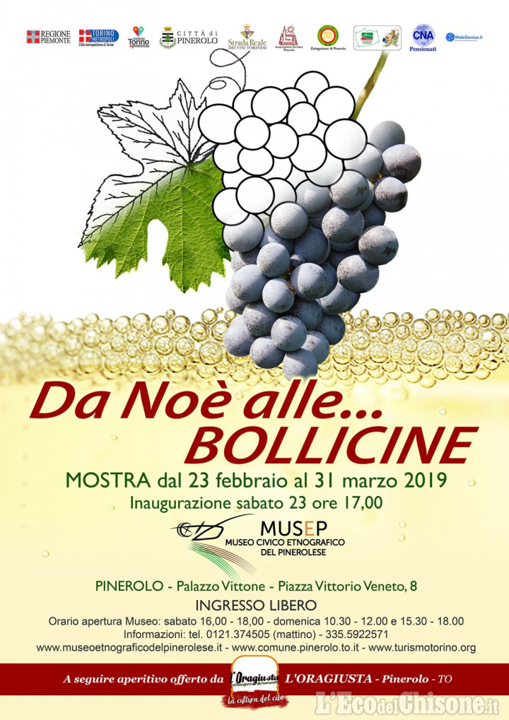 Da noè alle bollicine: mostra al Musep di Pinerolo sulla storia della vite e del vino