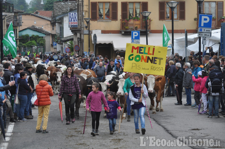 Bobbio Pellice: Fîra 'd la Pouià, domani la grande sfilata delle mandrie