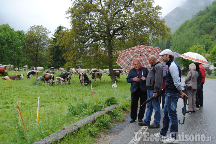 Bobbio Pellice: annullata la Fîra d'la pouià