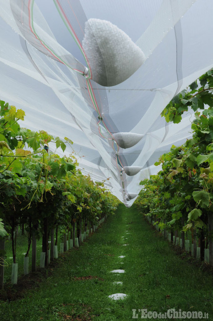 Revello: chicchi di grandine grandi come noci in località Morra S. Martino