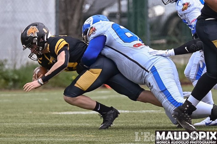 Football americano, Giaguari Torino: a caccia di una vittoria per riprendere la testa del girone