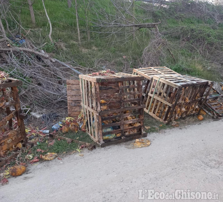 Beinasco: abbandona rifiuti a Borgo Melano, le fototrappole incastrano il responsabile