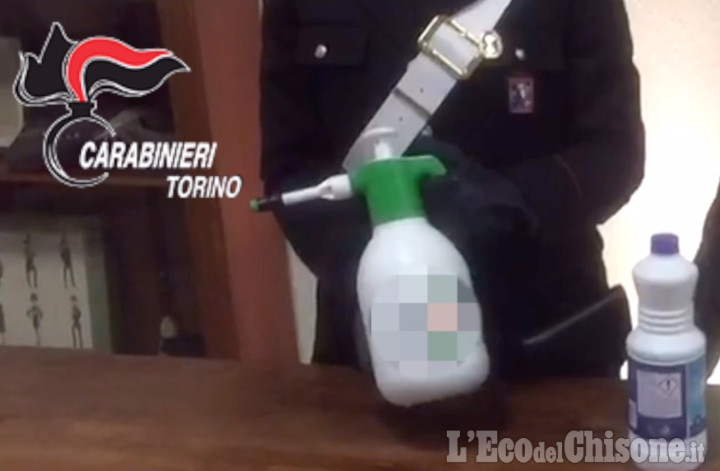 Arrestata la banda dello spray all'ammoniaca, oltre 70 furti nel pinerolese