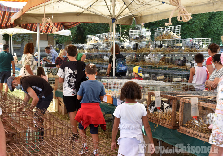 Pinerolo: è in corso la Fiera Patronale in Piazza Vittorio e Piazza d'Armi 