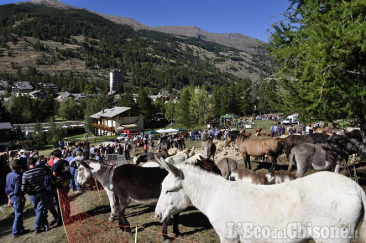 Pragelato: giovedì 14 l&#039;antica fiera zootecnica dell&#039;Escarton