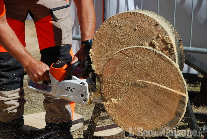 Legninvalle a Usseaux: due giorni dedicati alla filiera del legno