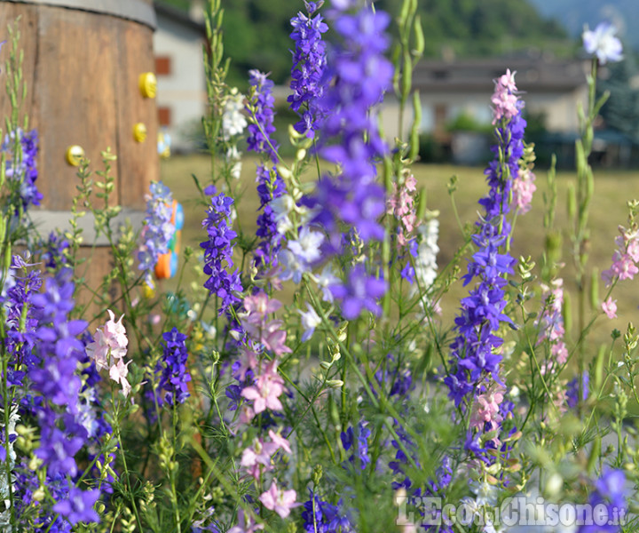 Febbre da fiori nelle valli: anche &quot;Flor&quot; si sposta in montagna per l&#039;edizione estiva