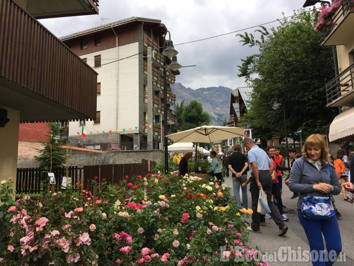 Flor: domenica 14 luglio fiera florovivaistica a Bardonecchia