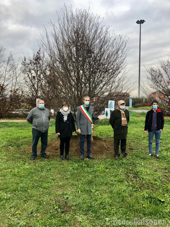 Vinovo: un albero in memoria dei morti di Coronavirus