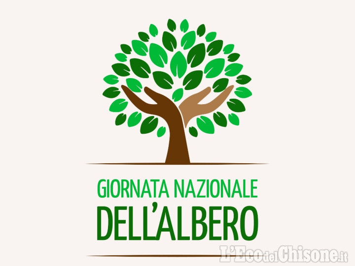 Pinerolo: le scuole elementari e medie piantano 450 nuovi alberi con il Rotary Club 