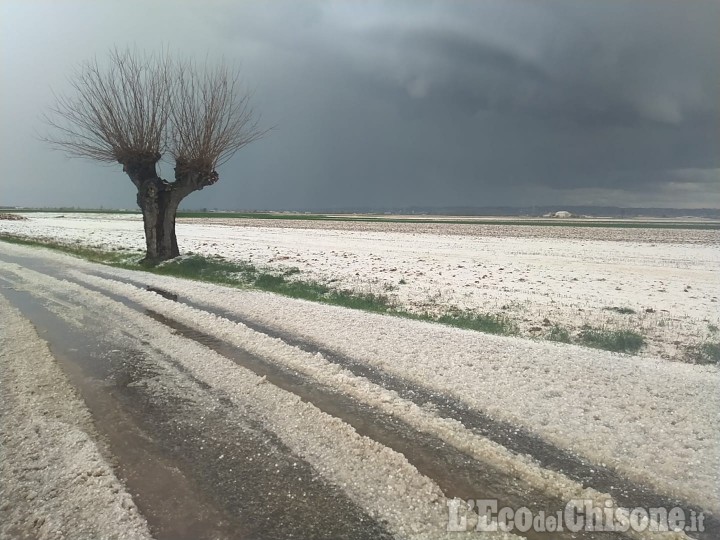 Agricoltura: neve e grandinate in Piemonte, colpite anche vaste aree nel Pinerolese e Saluzzese