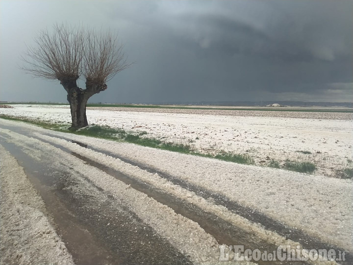 Agricoltura: neve e grandinate in Piemonte, colpite anche vaste aree nel Pinerolese e Saluzzese