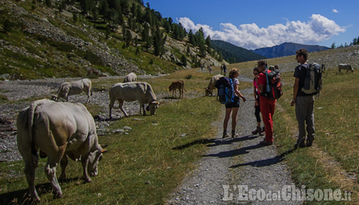 Passeggiata tra gli alpeggi dell&#039;Alta valle con &quot;Gusto in quota&quot;