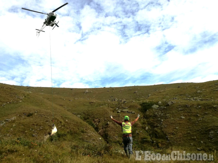 Coazze: bovino morto recuperato dagli uomini del Soccorso Alpino