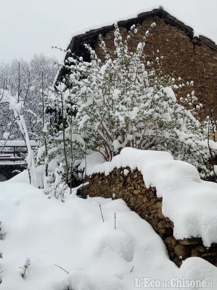 Torna l'inverno, neve anche a bassa quota