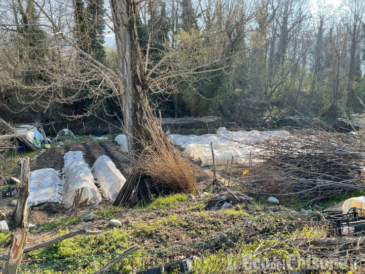 Luserna S.G.: un limite agli orti abusivi lungo il Pellice