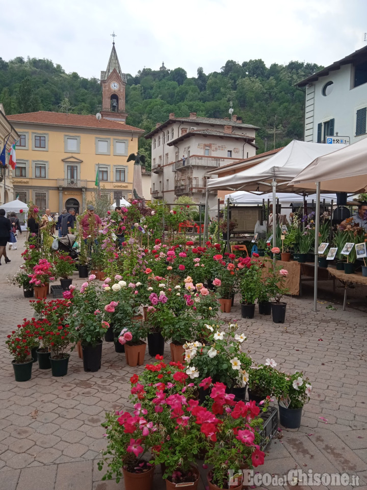 Cavour: nel week end torna la 21ª rassegna dedicata ai fiori e ai vivaisti