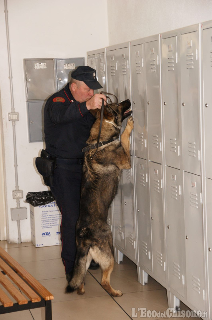 Pinerolo: controlli antidroga dei carabinieri nelle scuole superiori