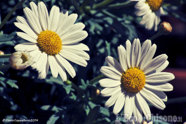 La primavera meteorologica inizia con il sole ma occhio al weekend!