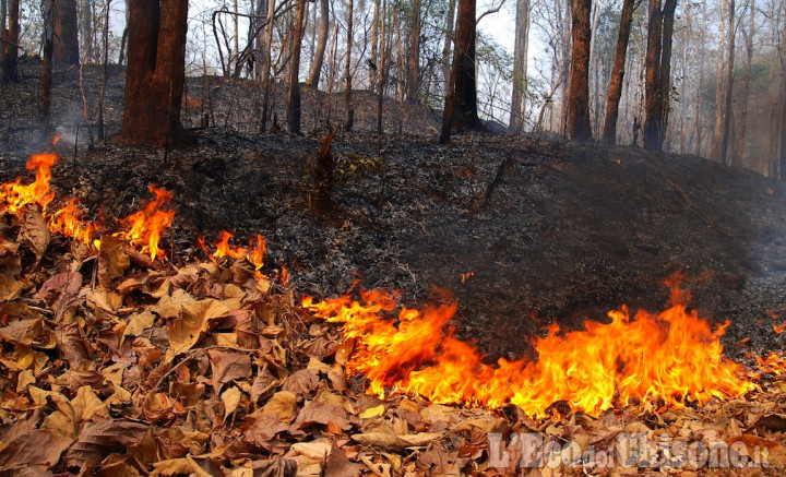 Emergenza incendi: le norme di comportamento suggerite dall&#039;ASL TO 3