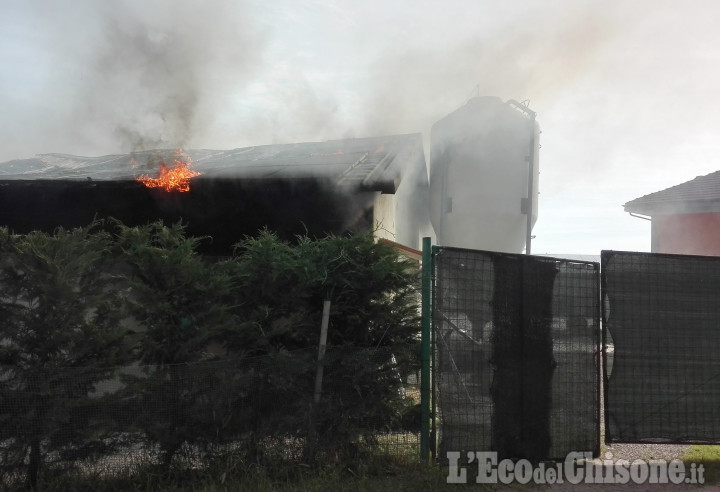 Cumiana: in fiamme allevamento polli