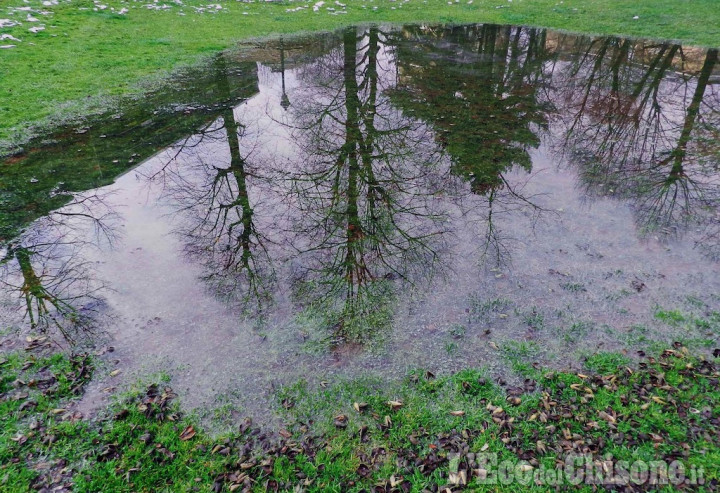 La foto vincitrice della settimana: La natura di specchia nell&#039;acqua