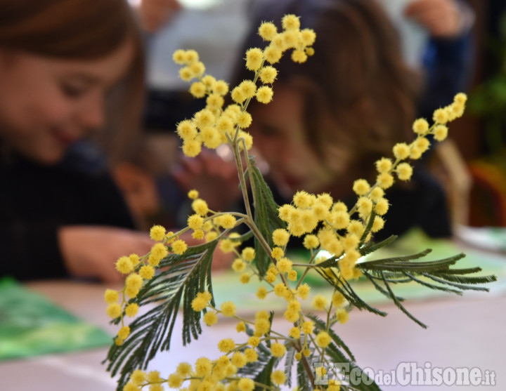 8 marzo, perché una giornata della donna serve ancora