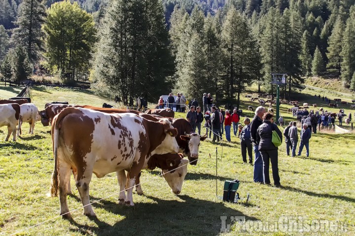 Pragelato: Fiera dell&#039;Escarton venerdì 14 settembre a Soucheres Hautes