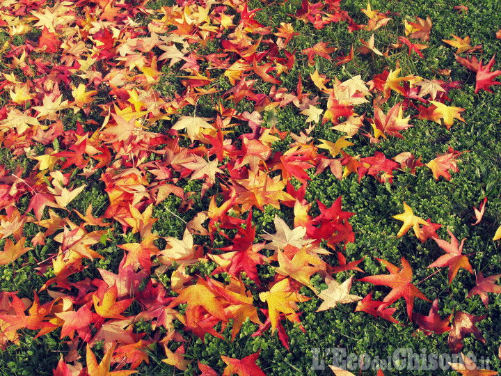 Settimana autunnale mite e con il ritorno del sole