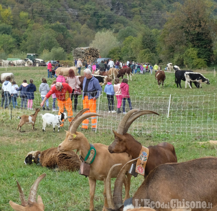 A Perosa Argentina la rassegna zootecnica e Fiera d&#039;autunno