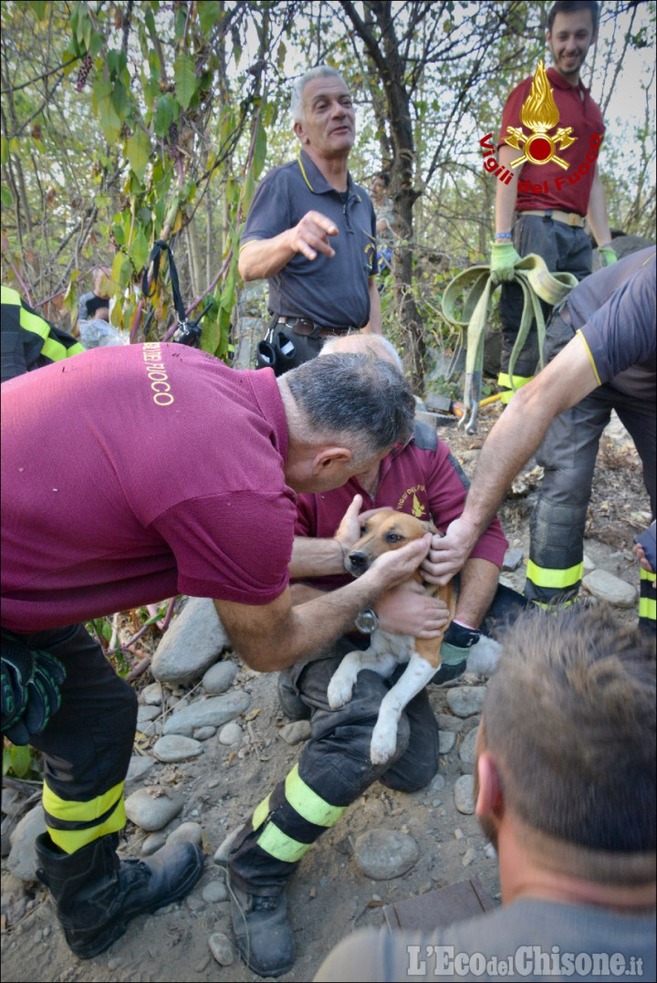 Garzigliana: liberato dai Vigili del fuoco il cane incastrato tra le pietre