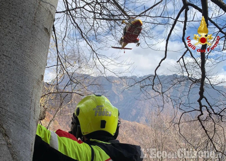 Perrero: travolto da un albero, 41enne muore in borgata Vrocchi