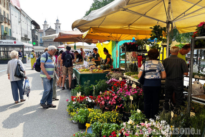 Pinerolo: mercato dei produttori agricoli, tornano i parcheggi in Largo Lequio