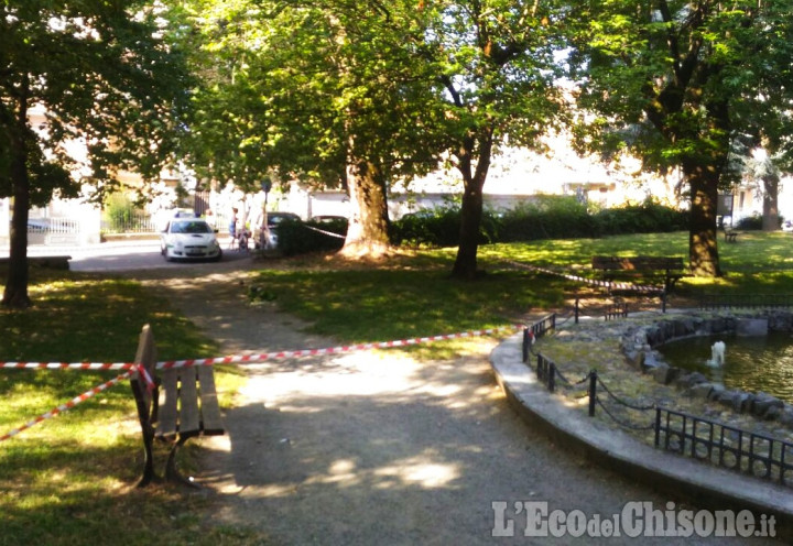 Pinerolo: piccioni avvelenati nel parco di via Diaz