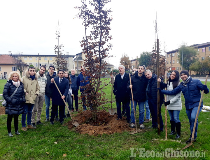 A Rivalta piantati in via Togliatti i primi alberi di “Italia Viva”