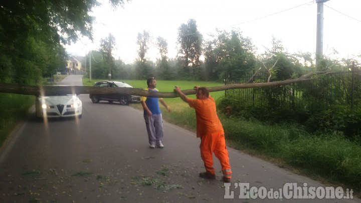 Roletto: albero cade e sfiora auto