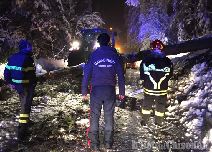 Sestriere: 70enne muore sull&#039;ambulanza bloccata da un albero sulla strada