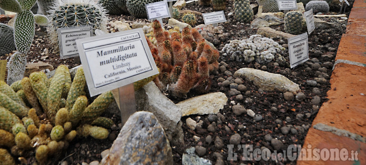 Visite guidate alla scoperta del Giardino botanico di Trana