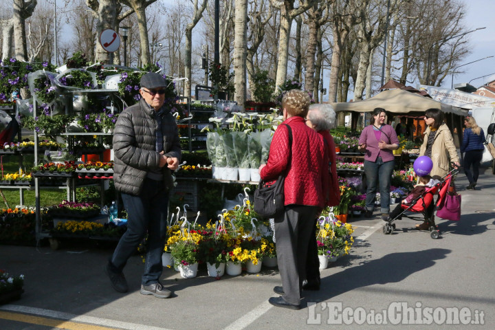 Vigoflor: da oggi Vigone si colora di fiori 