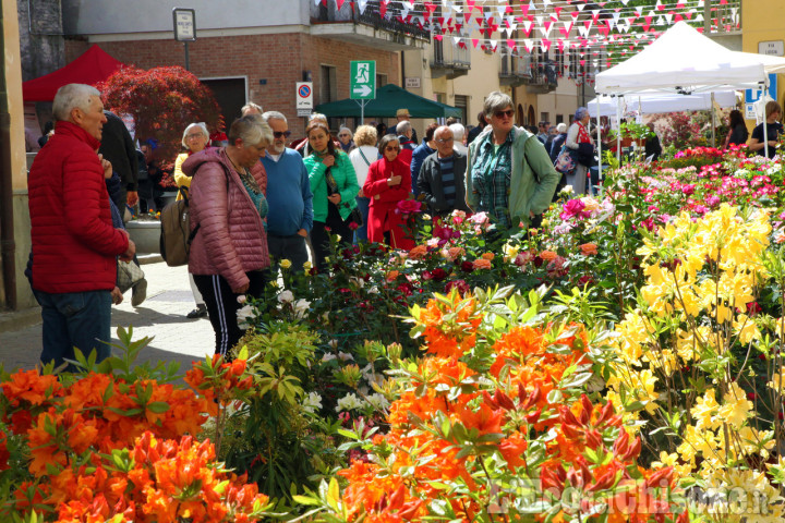 Vigone: un weekend all’insegna del florovivaismo con Vigoflor