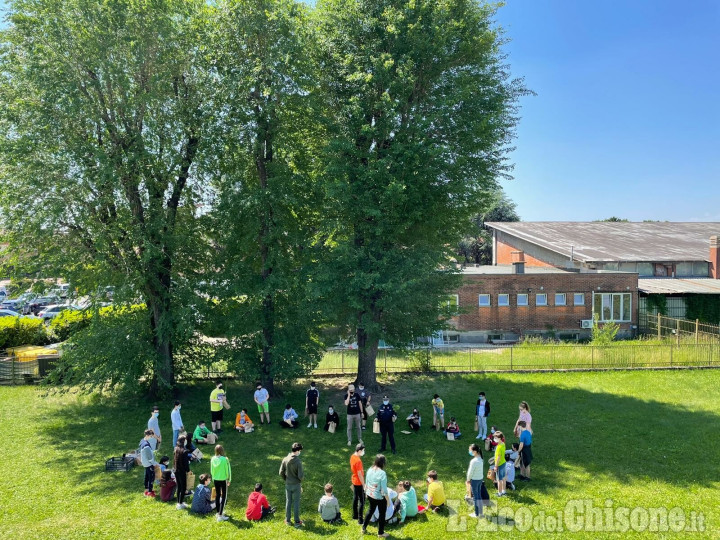 Vinovo: martedì due eventi per la Festa dell'Albero 