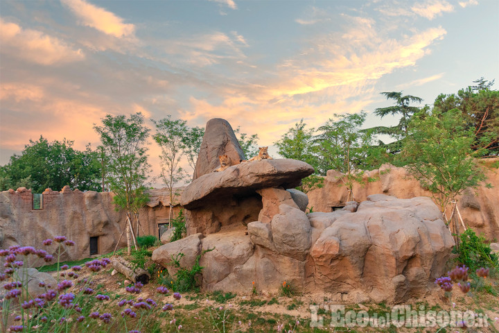 Bioparco Zoom: accordo preliminare per l’acquisizione del Parco Natura Viva di Bussolengo