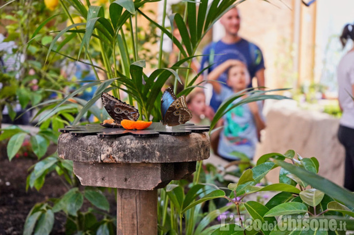 Bioparco Zoom: ingressi gratuiti per le famiglie a basso reddito