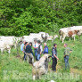 Prarostino : Festa di Primavera